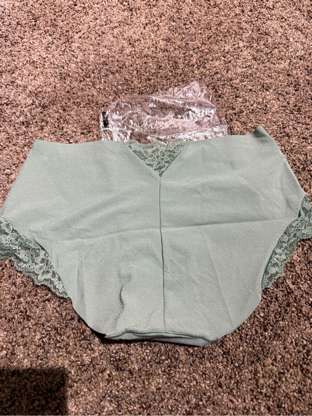NWT Victoria’s Secret Sage Green Lace Seamless Hiphugger Panty M